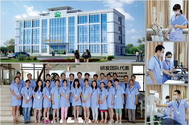 FSD-Institute-Introduction2